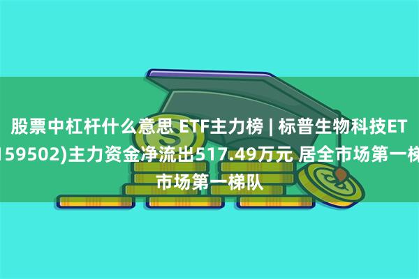 股票中杠杆什么意思 ETF主力榜 | 标普生物科技ETF(159502)主力资金净流出517.49万元 居全市场第一梯队