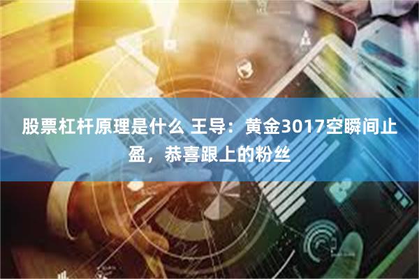 股票杠杆原理是什么 王导：黄金3017空瞬间止盈，恭喜跟上的