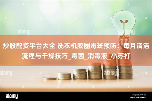 炒股配资平台大全 洗衣机胶圈霉斑预防：每月清洁流程与干燥技巧_霉菌_消毒液_小苏打