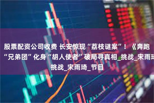 股票配资公司收费 长安惊现“荔枝谜案”！《奔跑吧13》“兄弟