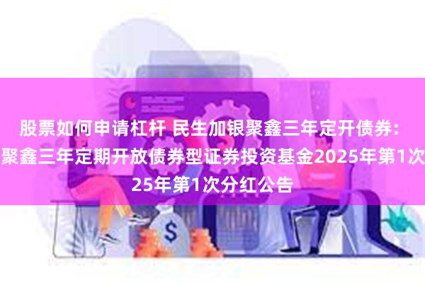 股票如何申请杠杆 民生加银聚鑫三年定开债券: 民生加银聚鑫三年定期开放债券型证券投资基金2025年第1次分红公告