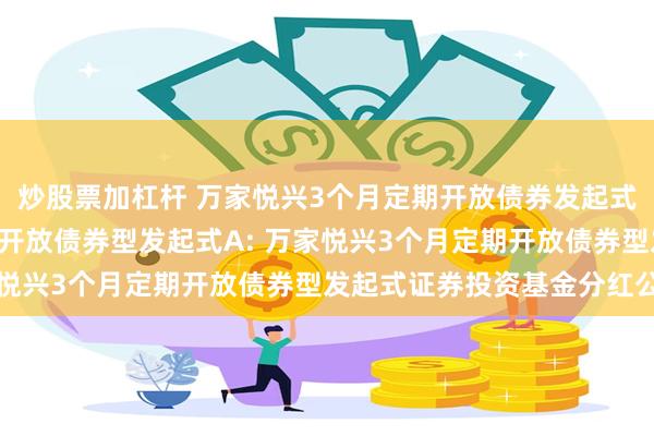 炒股票加杠杆 万家悦兴3个月定期开放债券发起式D,万家悦兴3