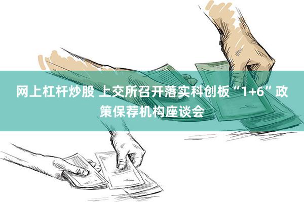 网上杠杆炒股 上交所召开落实科创板“1+6”政策保荐机构座谈