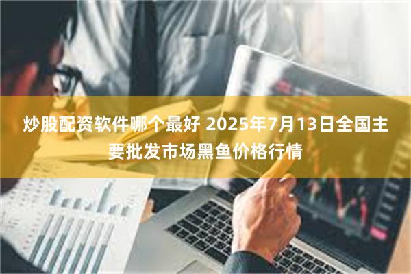 炒股配资软件哪个最好 2025年7月13日全国主要批发市场黑