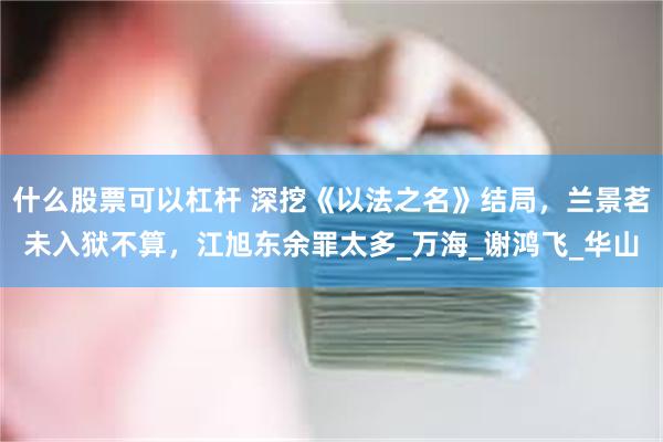 什么股票可以杠杆 深挖《以法之名》结局，兰景茗未入狱不算，江旭东余罪太多_万海_谢鸿飞_华山