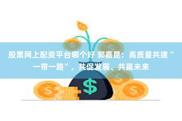 股票网上配资平台哪个好 郭嘉昆：高质量共建“一带一路”，共促