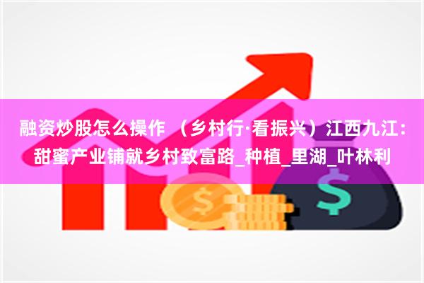 融资炒股怎么操作 （乡村行·看振兴）江西九江：甜蜜产业铺就乡